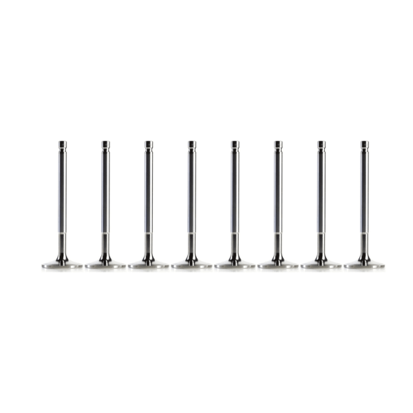 Vauxhall 2.2 4HB (DW12RUD) Diesel Exhaust Valve