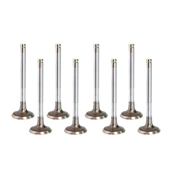 Ford 2.0 TNWA Petrol Exhaust Valve