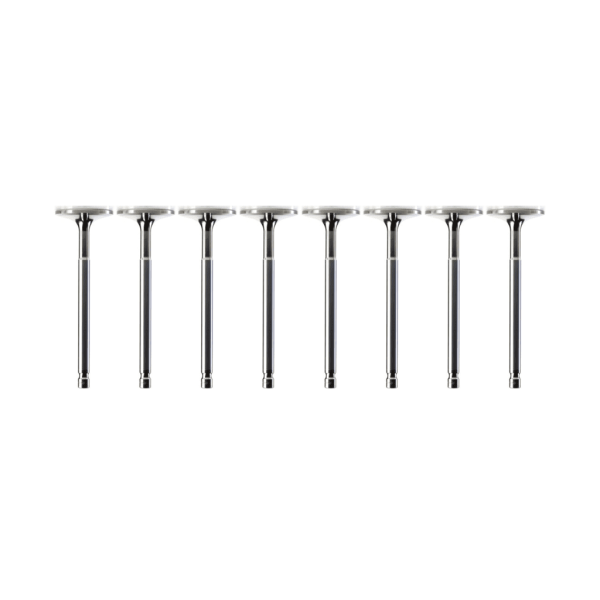 Vauxhall 2.2 4HB (DW12RUD) Diesel Inlet Valve - Image 3