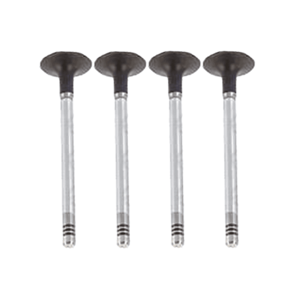 Renault 1.2 H5F 400 Petrol Inlet Valve - Image 2