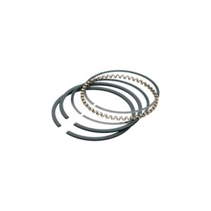 Audi 4.2 BBK Petrol Piston Ring Set