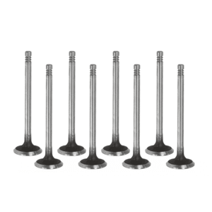 Peugeot 2.0 AHN (DW10FUD) Diesel Exhaust Valve