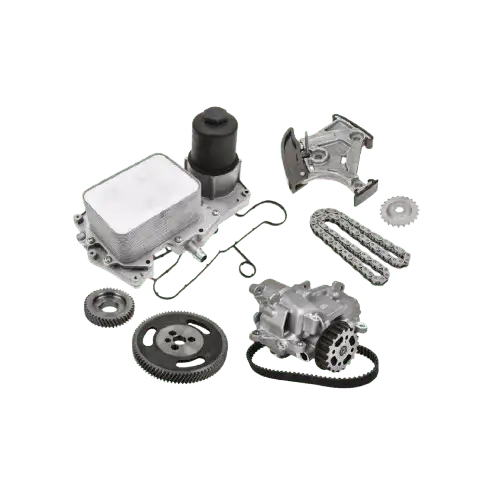 GASKET & SEALS